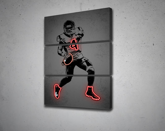 Deshaun Watson Canvas Wall Art