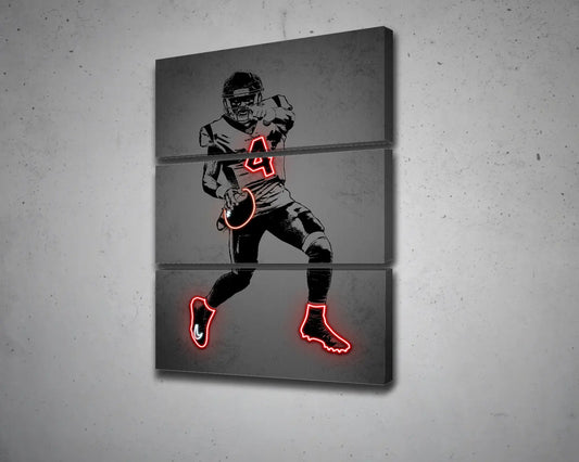 Deshaun Watson Canvas Wall Art