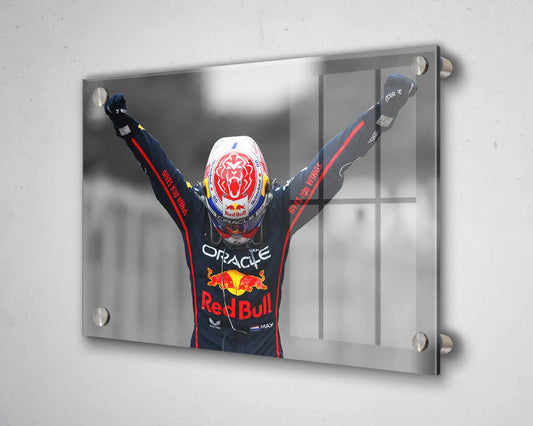 Arte en lienzo en blanco y negro de Dale Earnhardt