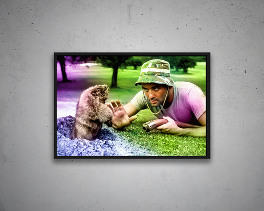 Caddyshack Multicolour Wall Art