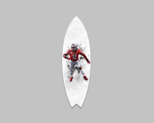 Cole Beasley Acrylic Surfboard Wall Art