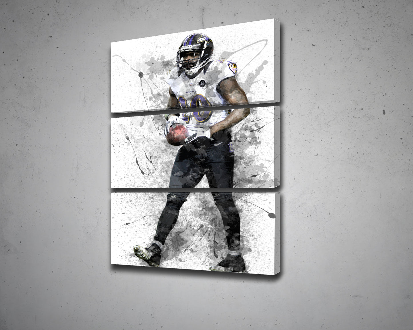 Ed Reed Canvas Wall Art
