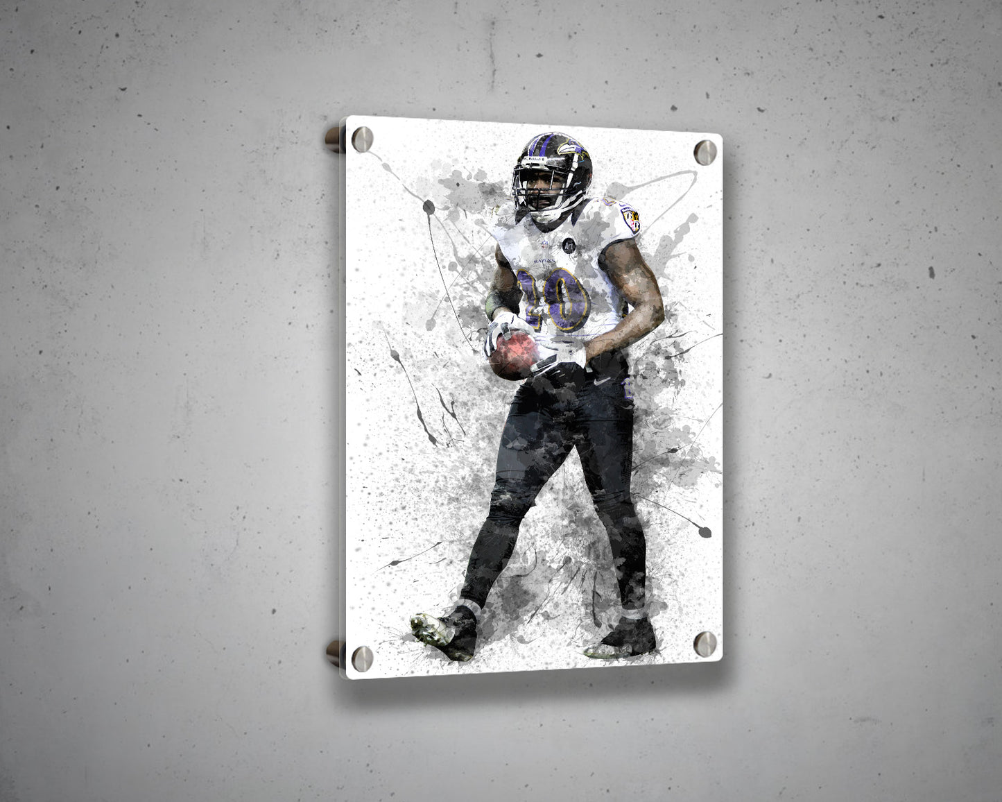 Ed Reed Canvas Wall Art