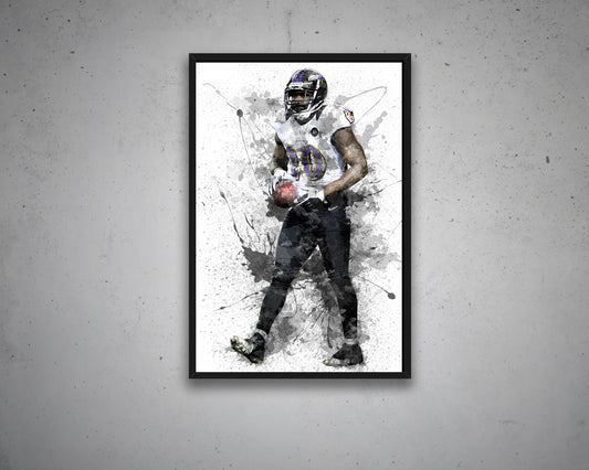 Ed Reed Canvas Wall Art