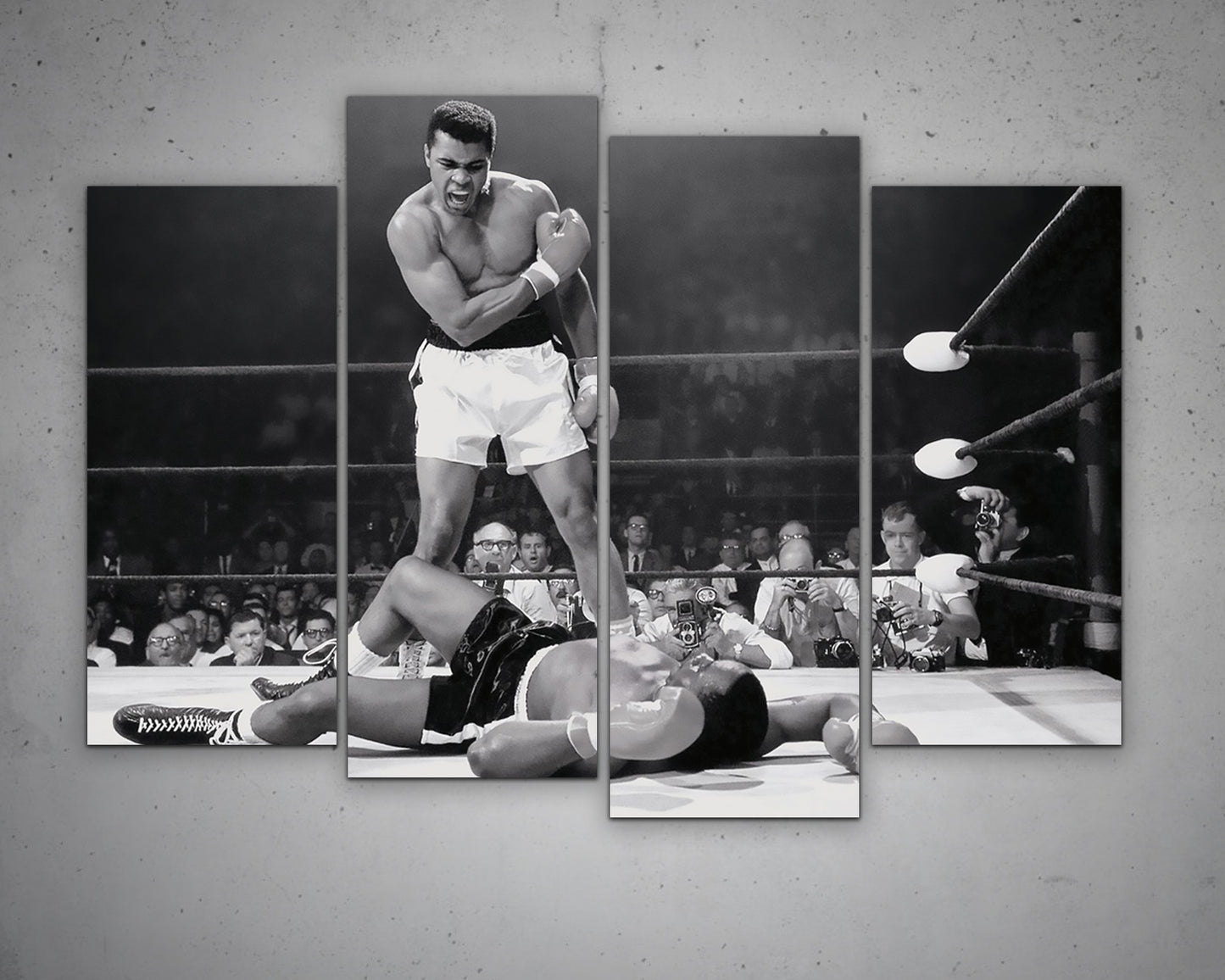 Muhammad Ali Multicolour Art