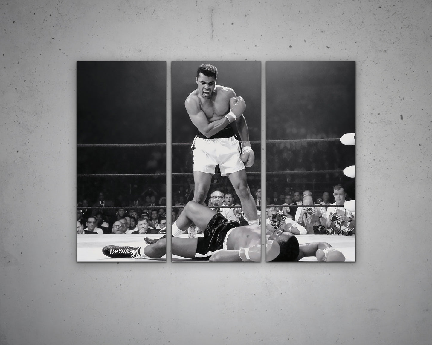 Muhammad Ali Multicolour Art