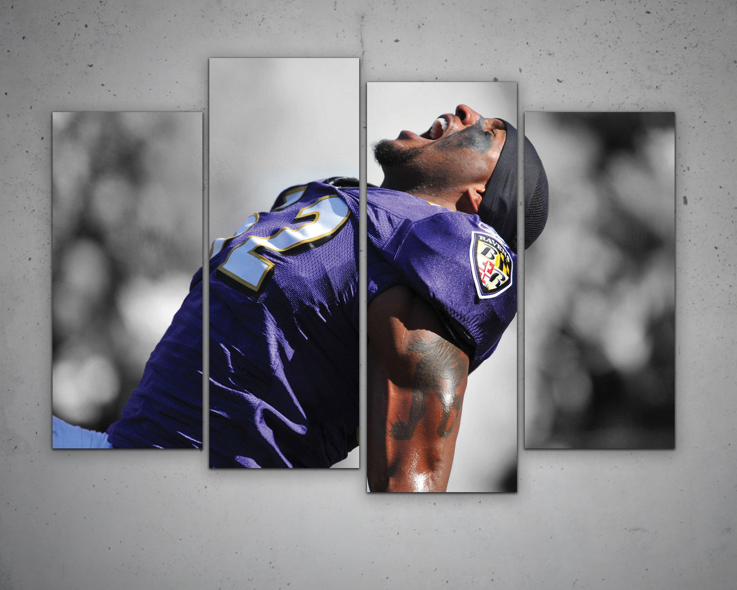 Ray Lewis Black & White Canvas Art