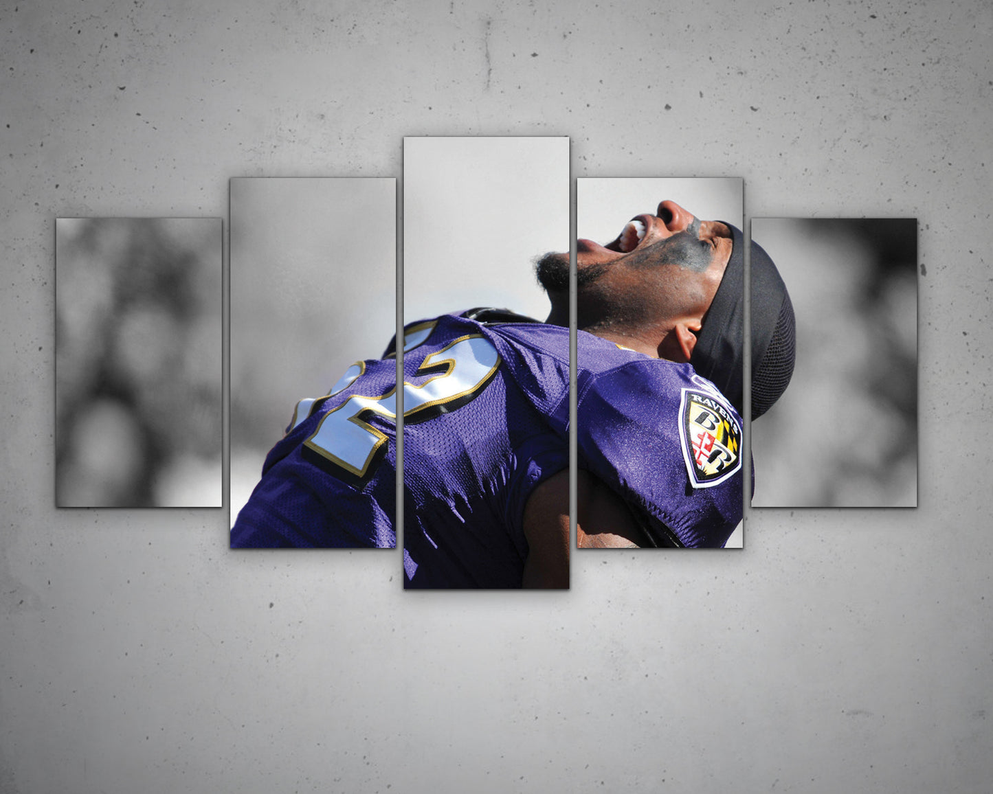 Ray Lewis Black & White Canvas Art