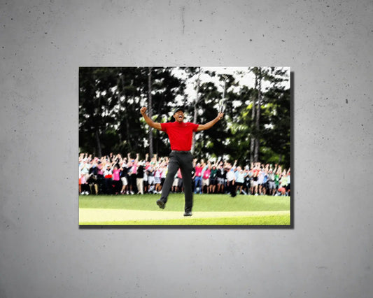 Tiger Woods Multicolour Wall Art