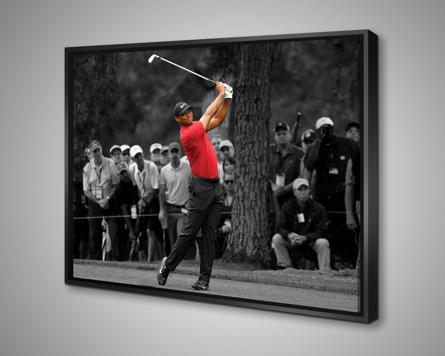Tiger Woods Black & White Canvas Art