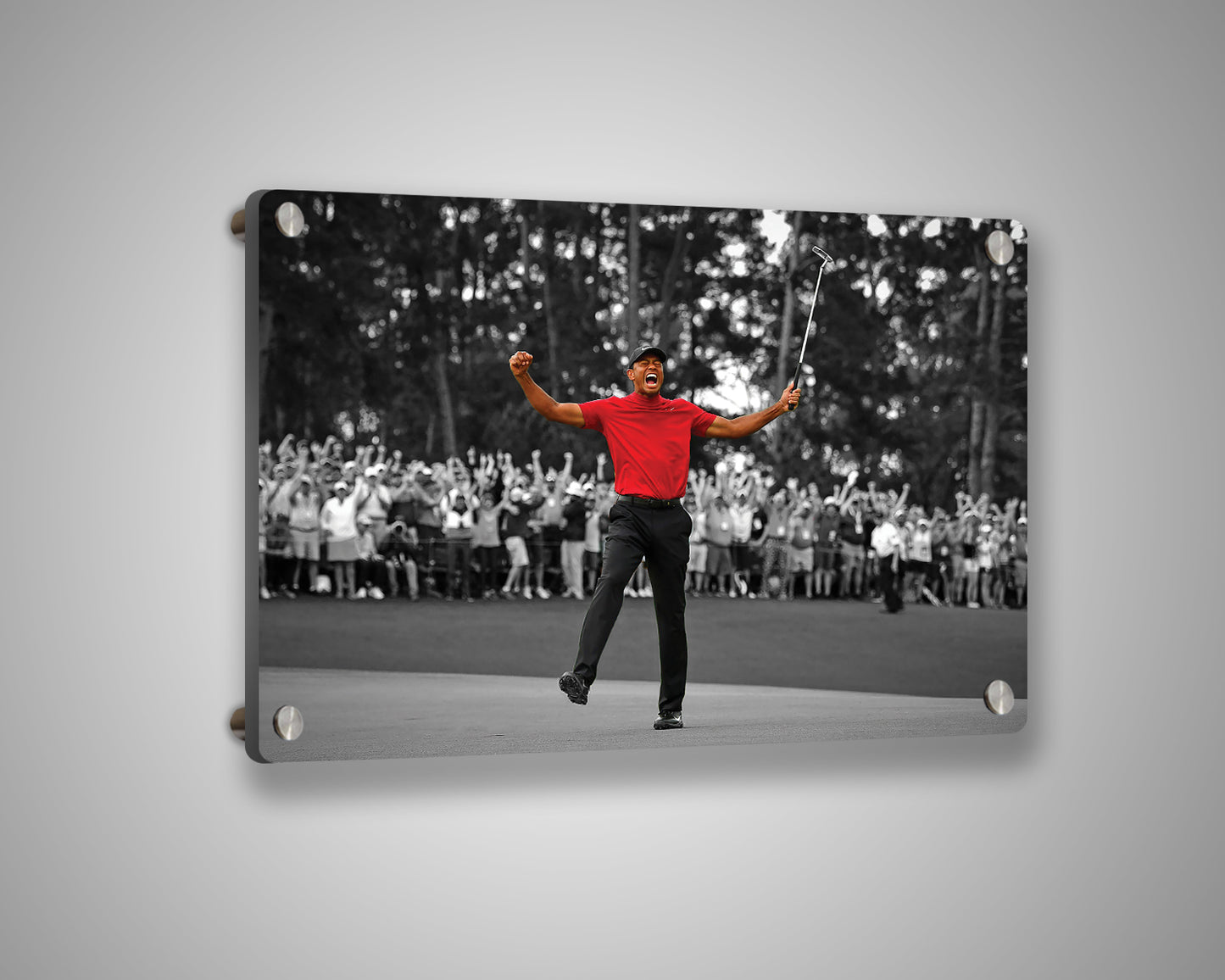 Tiger Woods Black & White Canvas Art