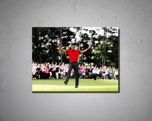 Tiger Woods Multicolour Wall Art