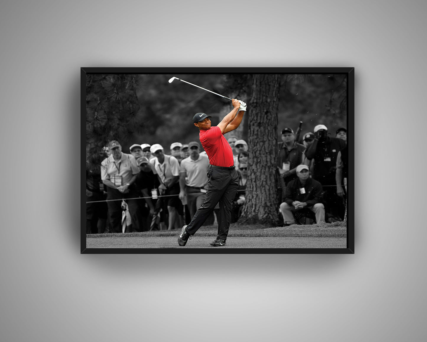 Tiger Woods Black & White Canvas Art