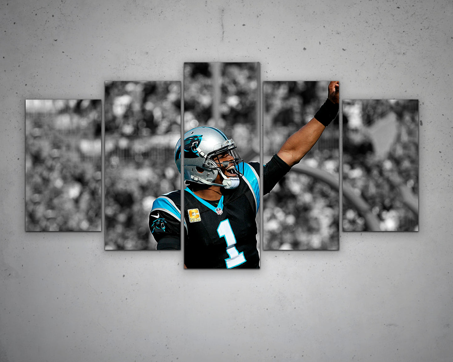 Cam Newton Black & White Canvas Art