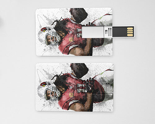 Larry Fitzgerald Pendrive