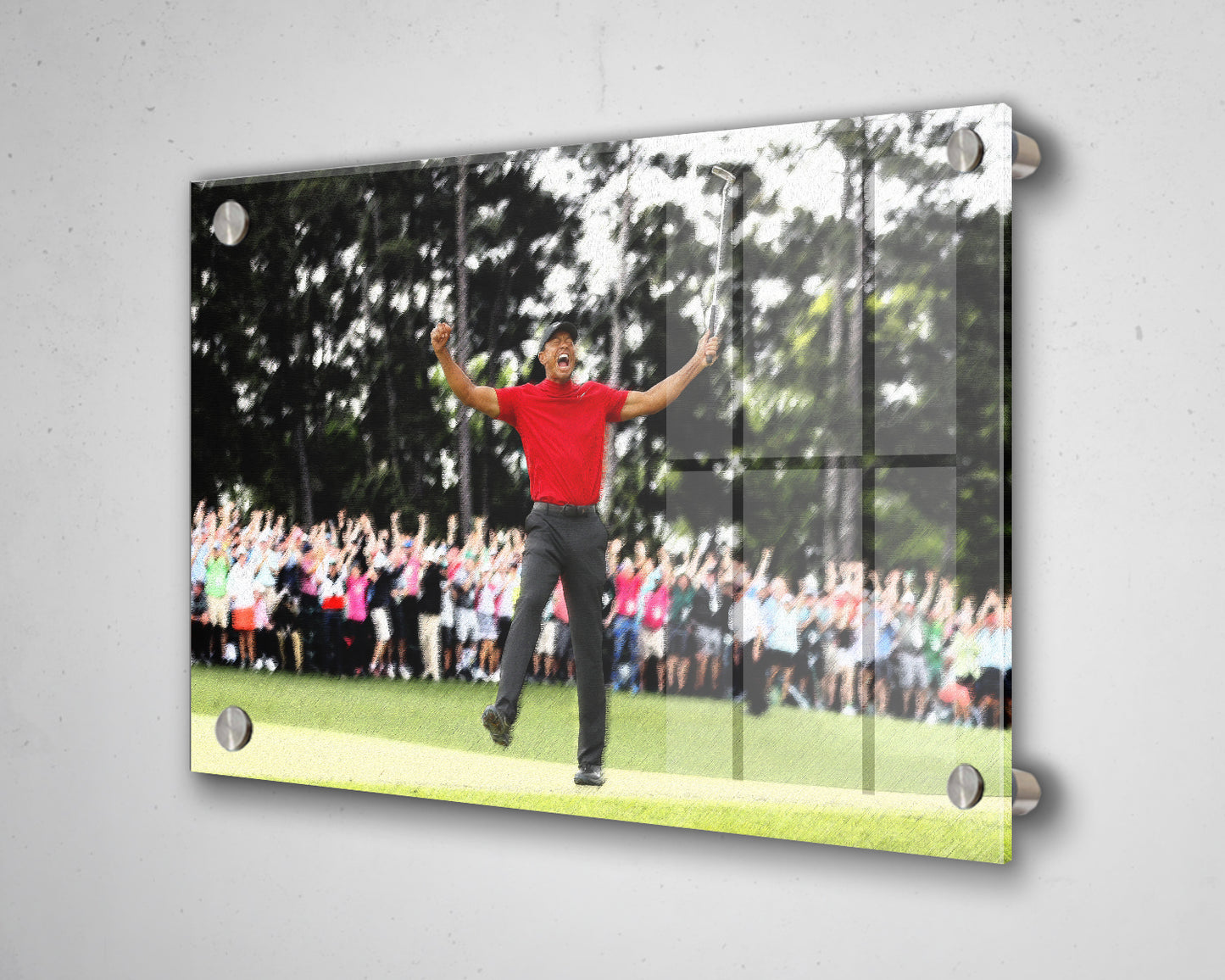 Tiger Woods Multicolour Wall Art