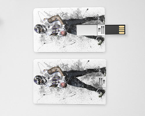 Ed Reed Pendrive