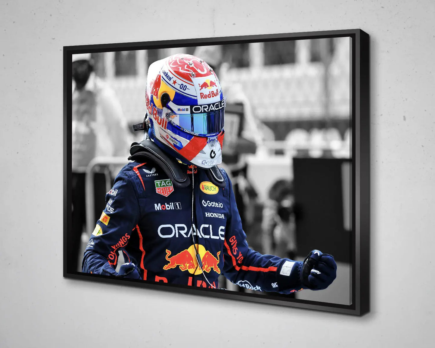 Arte en lienzo en blanco y negro de Dale Earnhardt