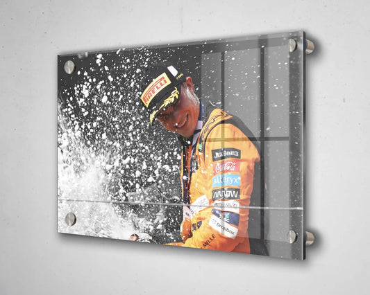 Arte en lienzo en blanco y negro de Dale Earnhardt