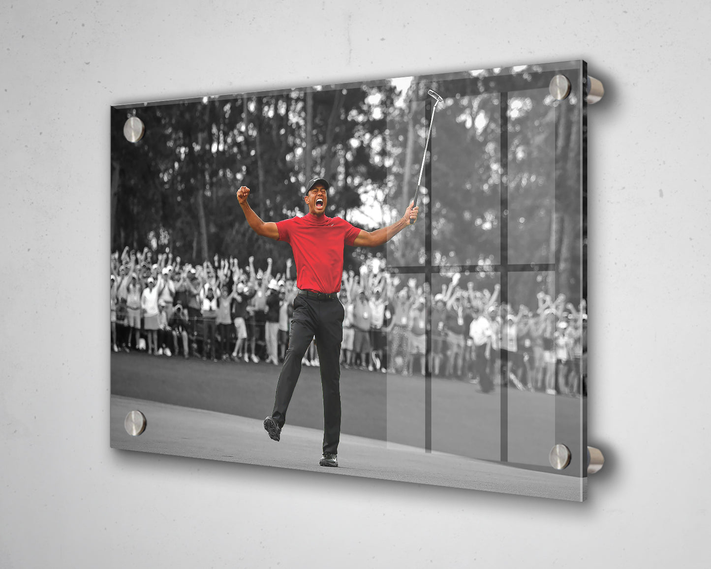 Tiger Woods Black & White Canvas Art