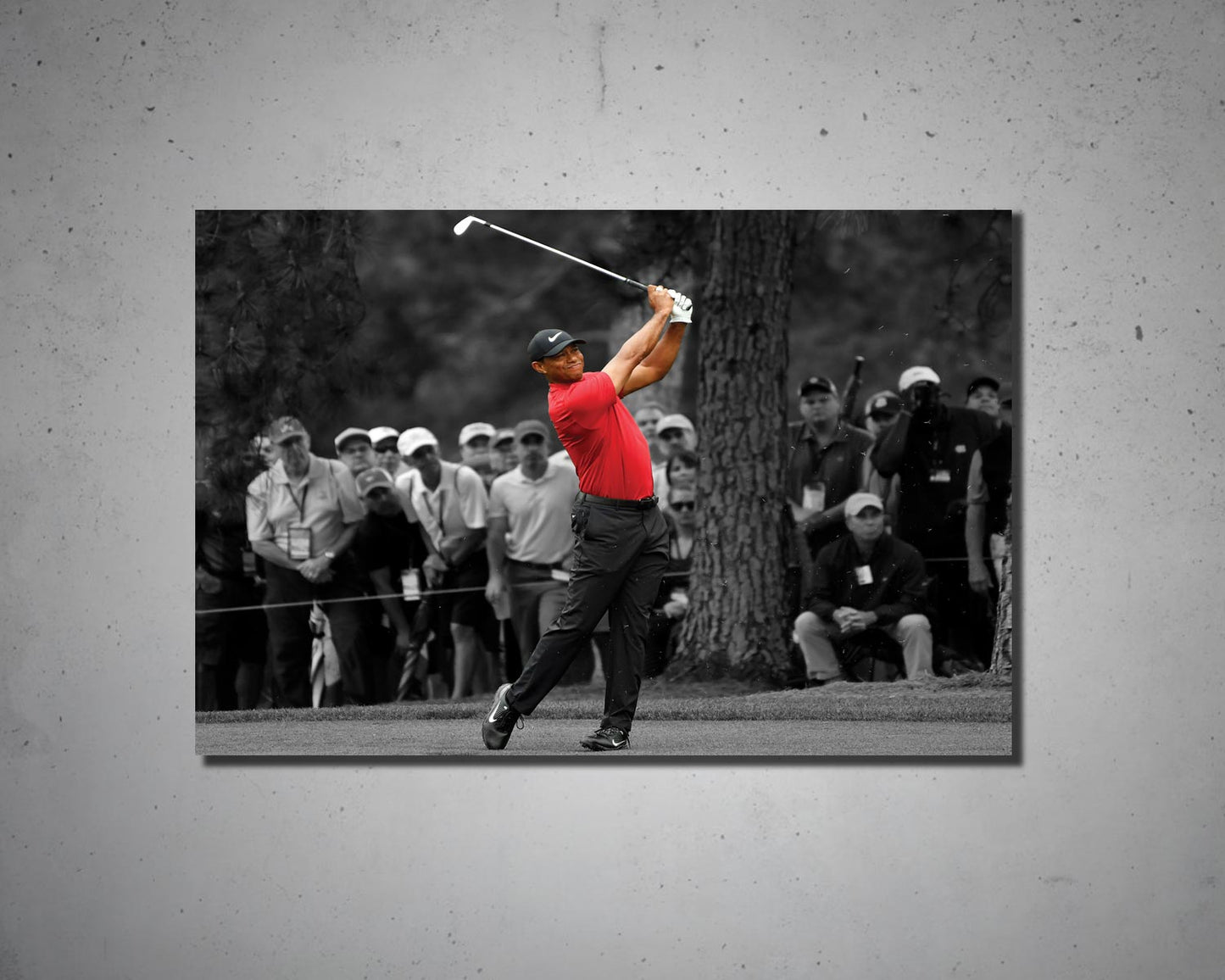 Tiger Woods Black & White Canvas Art