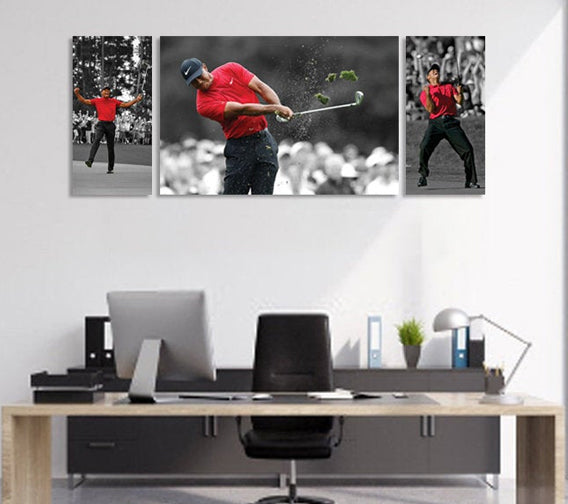 Tiger Woods Different 3 Panel Wall Art