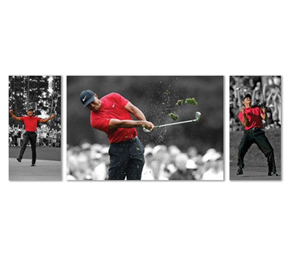 Tiger Woods Different 3 Panel Wall Art