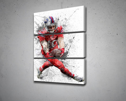 Cole Beasley Canvas Wall Art 