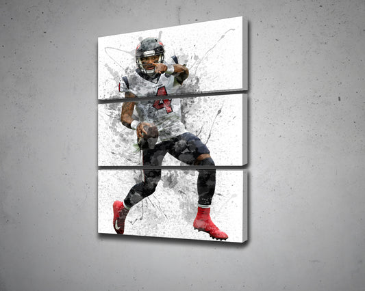 Deshaun Watson Canvas Wall Art