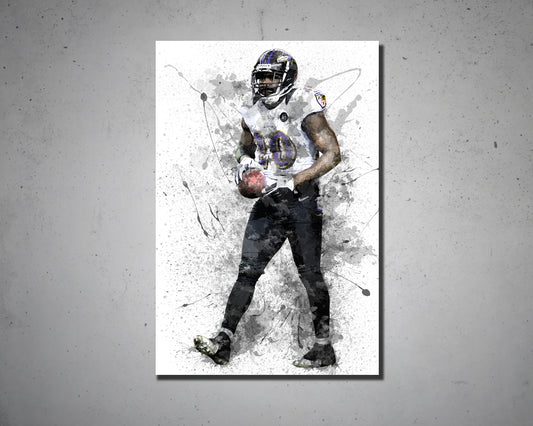 Ed Reed Canvas Wall Art
