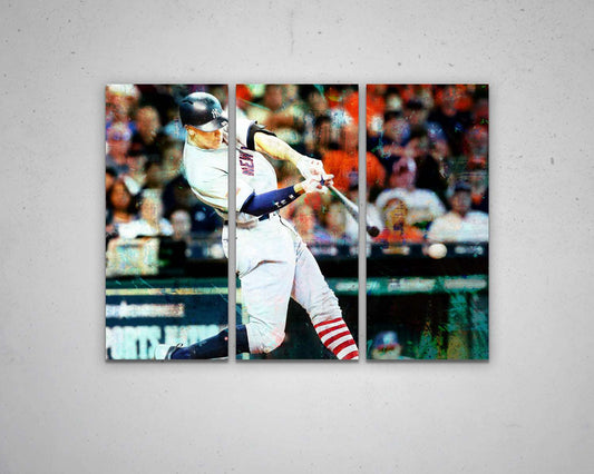 Aaron Judge Multicolour Wall Art