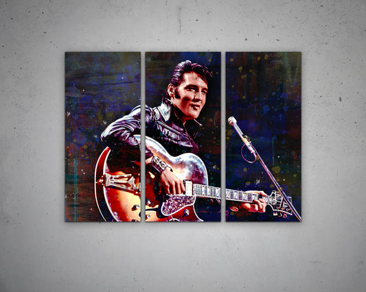 Elvis Presley Multicolour Wall Art 