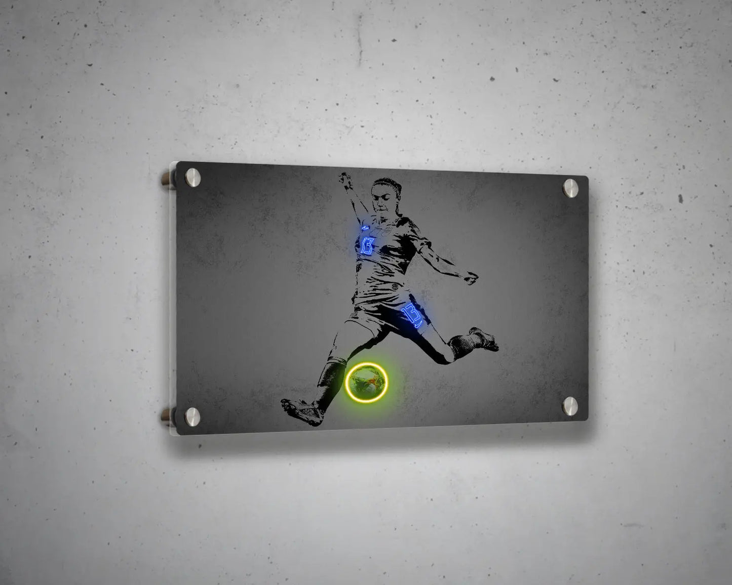 Alex Morgan Canvas Wall Art 