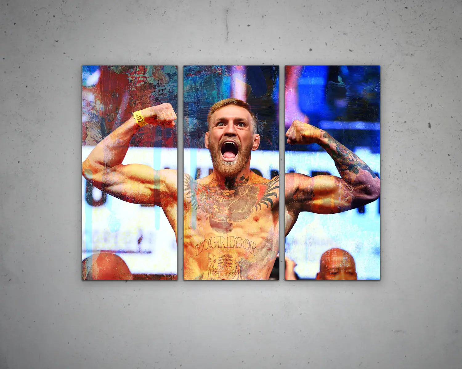 Conor McGregor Multicolour Wall Art 