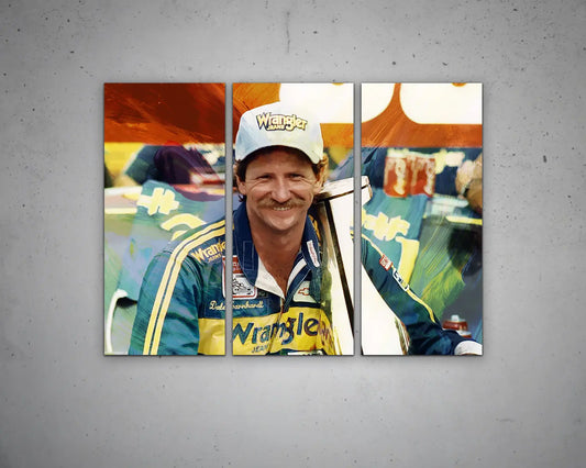 Dale Earnhardt Multicolour Wall Art 