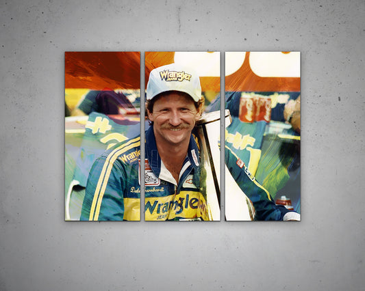 Dale Earnhardt Multicolour Wall Art