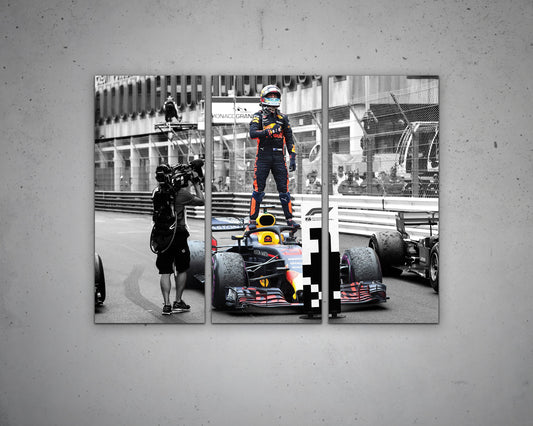 Daniel Ricciardo Black & White Canvas Art