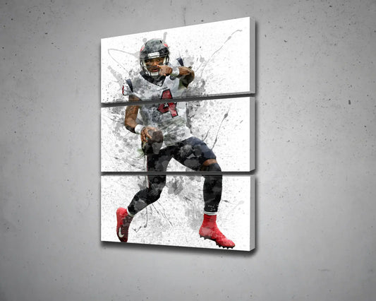Deshaun Watson Canvas Wall Art 
