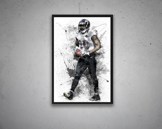 Ed Reed Canvas Wall Art 