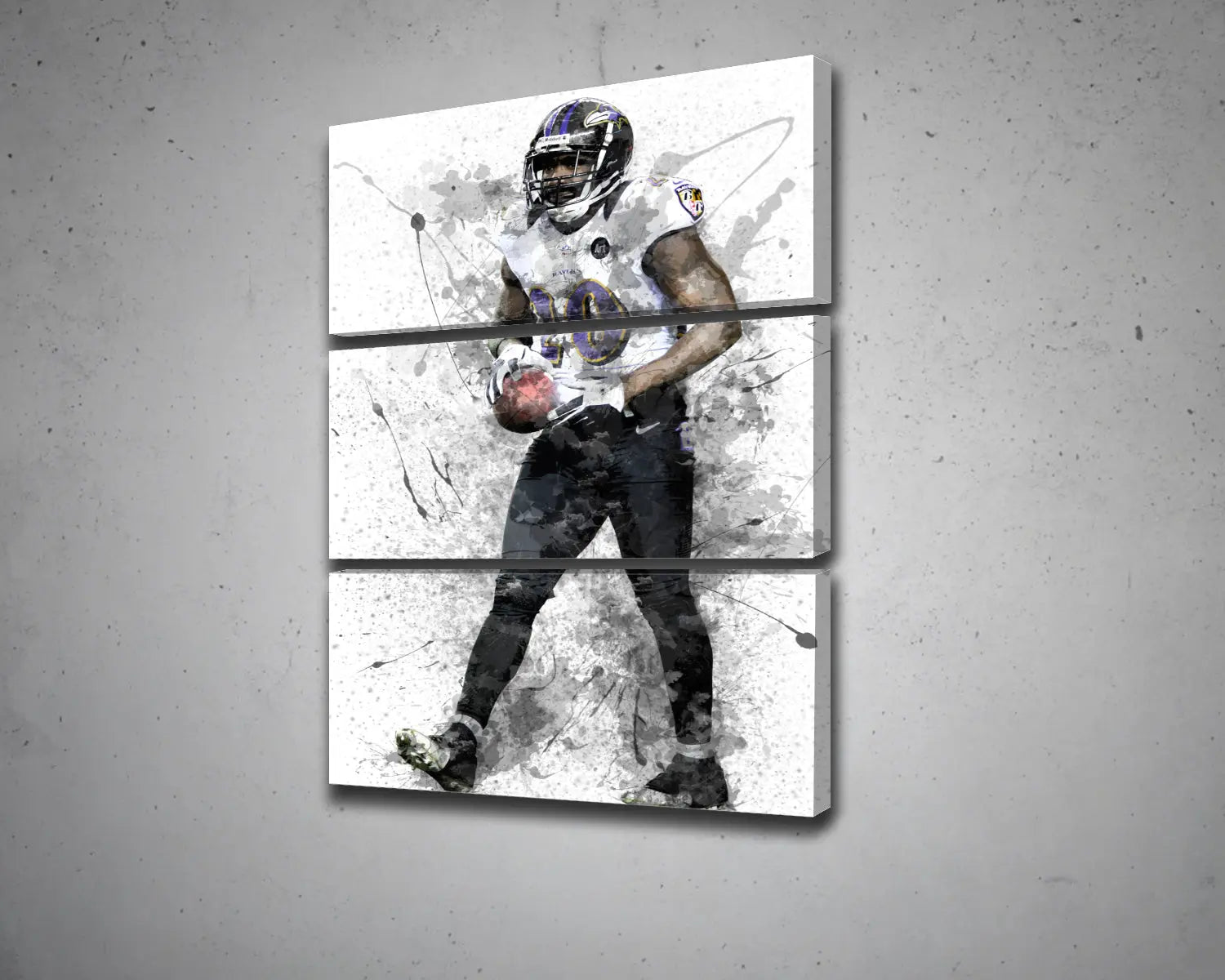 Ed Reed Canvas Wall Art 