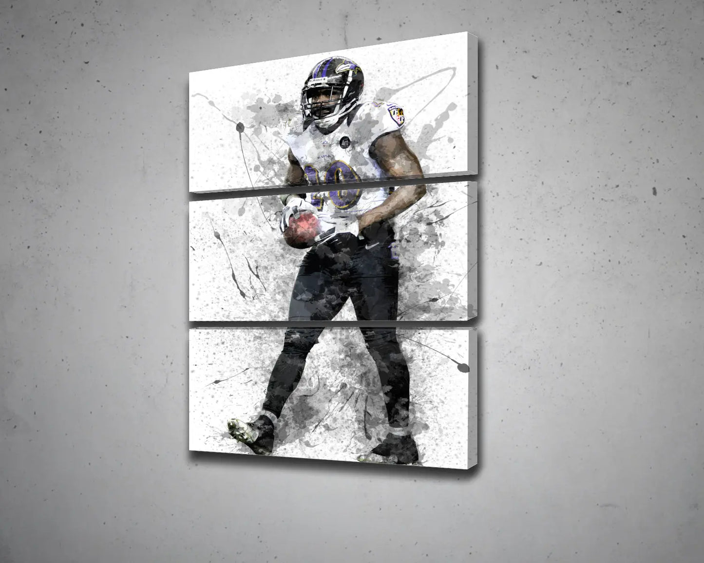 Ed Reed Canvas Wall Art 
