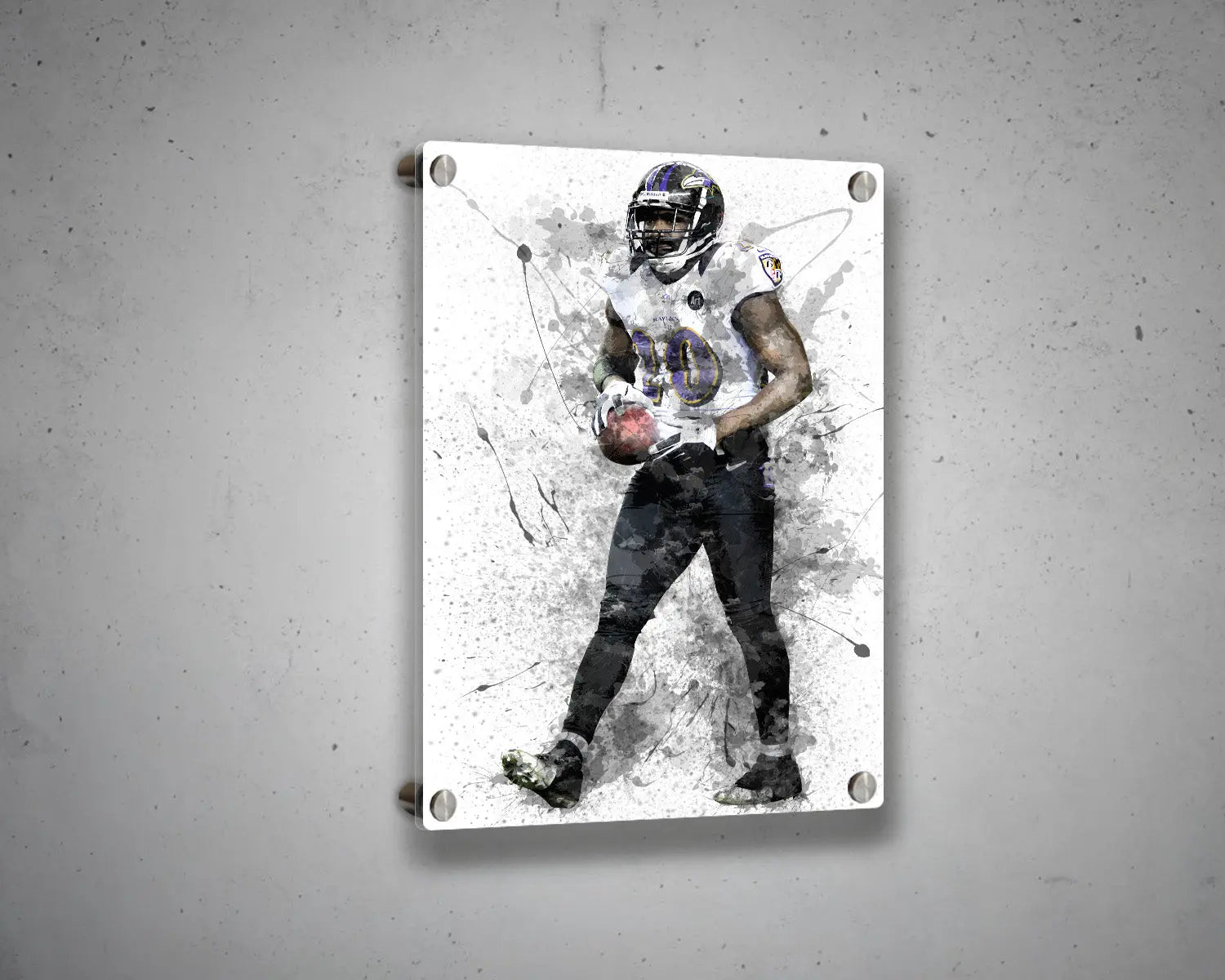 Ed Reed Canvas Wall Art 