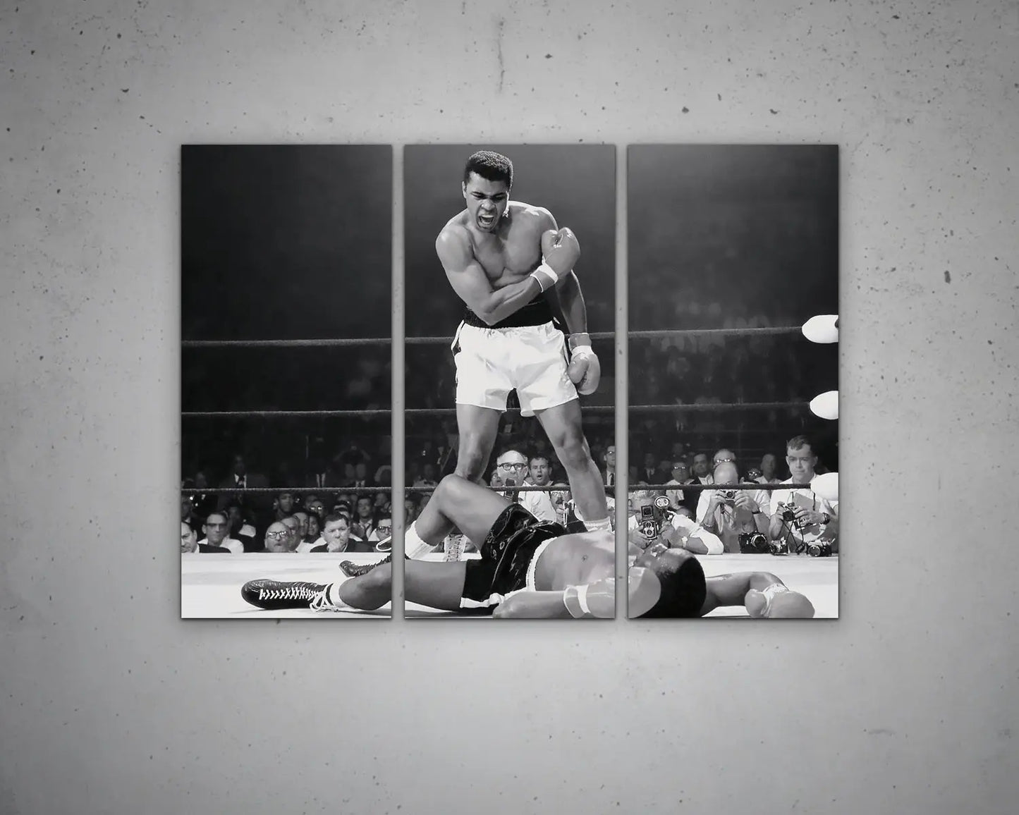 Muhammad Ali Multicolour Art 