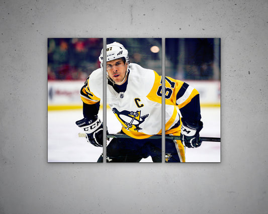 Sidney Crosby Multicolour Wall Art 