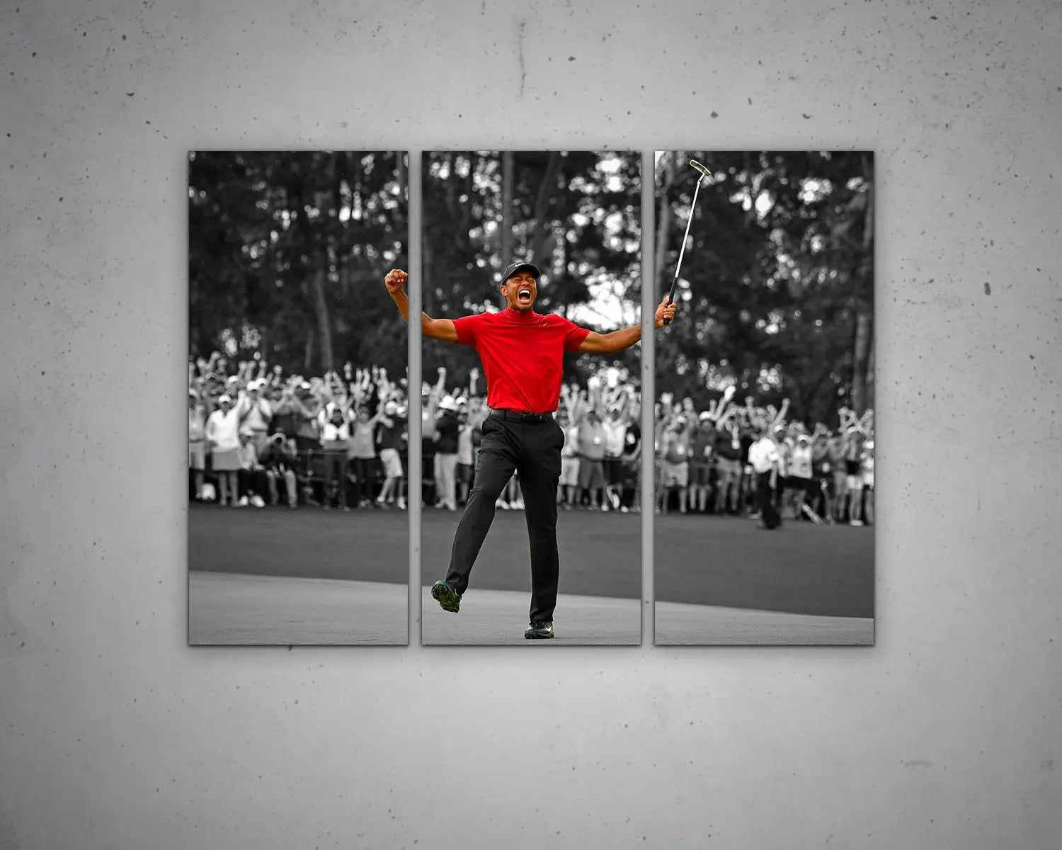 Tiger Woods Black & White Canvas Art 