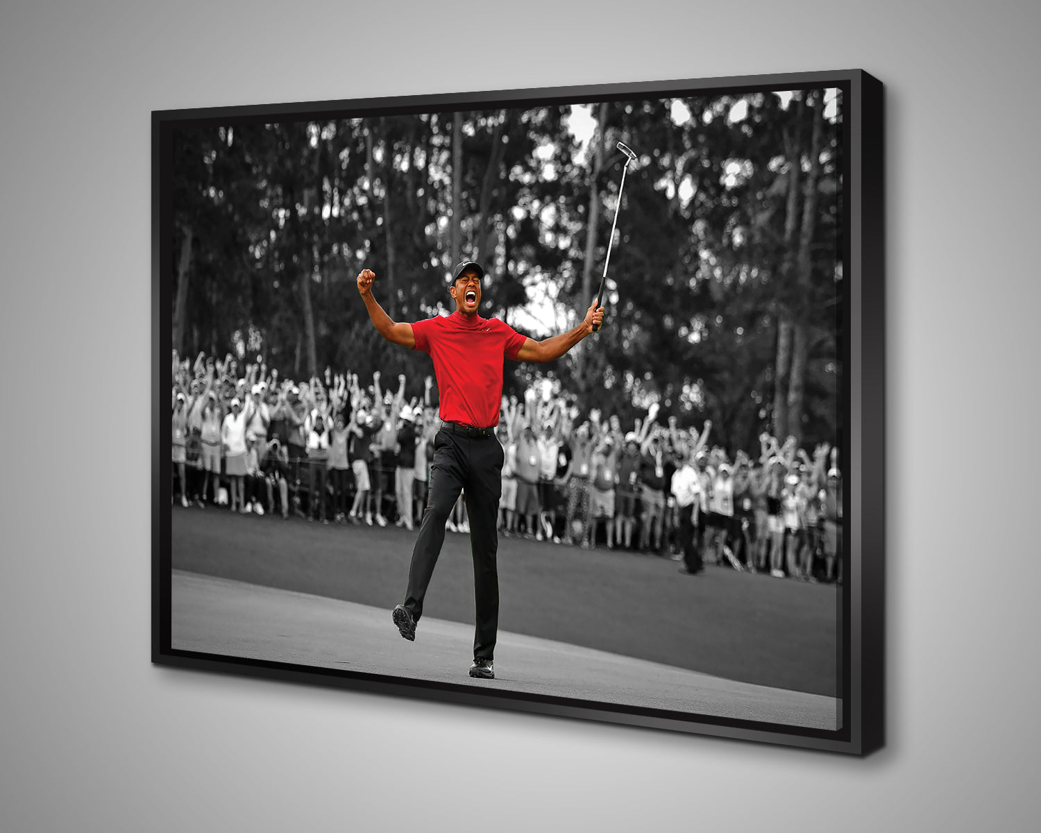 Tiger Woods Black & White Canvas Art 