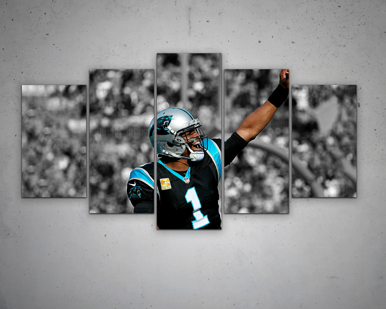 Cam Newton Black & White Canvas Art 